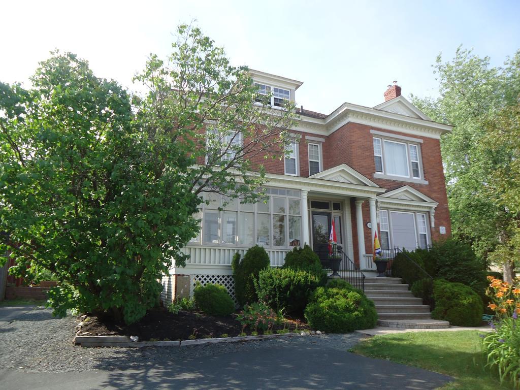 King George B&B 米拉米契 外观 照片